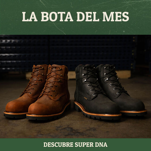 Lo Mas de la colección. Compra Super Dna. Super Dna 6" impermeable con puntera de acero y cordones aislantes en marrón y Super Dna 6" impermeable con puntera de acero y cordones aislantes en negro.