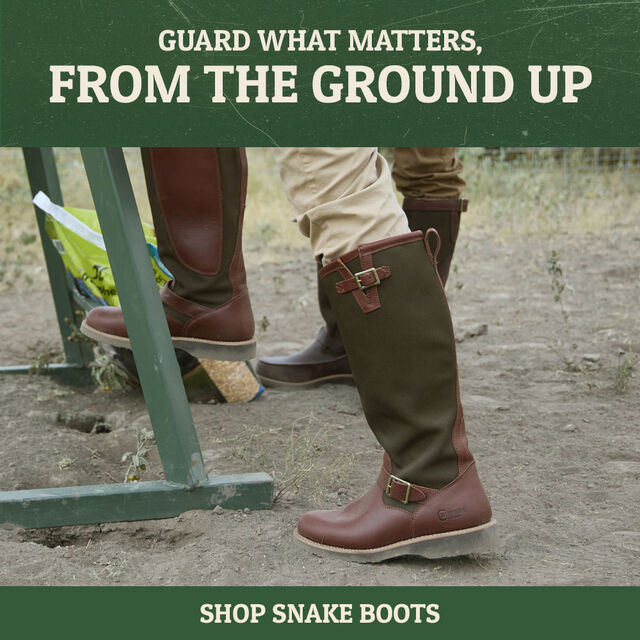 Guard what matters, from the ground up. Descaro 17" Snake Boot in Oro Russett (Brown). Shop snake boots