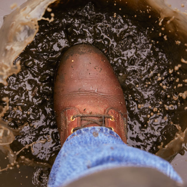 Featured Style: Paladin 8" Waterproof Insulated Steel Toe Logger in Briar (brown). Shop this style.